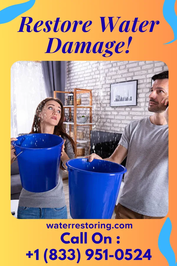 water restoration Falcon Damage Recovery Specialists Lochearn