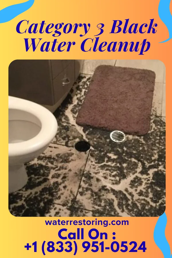 Category 3 Black Water Cleanup in Lochearn, MD