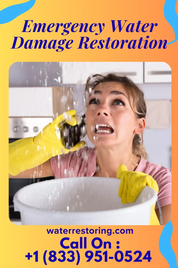 Emergency Water Damage Restoration in Lochearn, MD